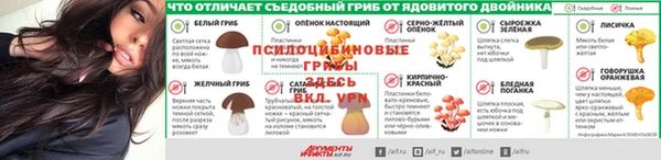 экстази Елизово