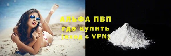 PSILOCYBIN Елабуга
