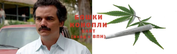 PSILOCYBIN Елабуга