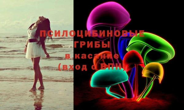 PSILOCYBIN Елабуга