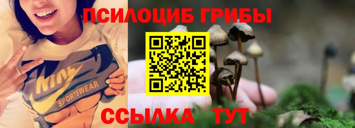 Псилоцибиновые грибы Cubensis  Вход с VPN  Пыть-Ях  Псилоцибиновые грибы прущие грибы 